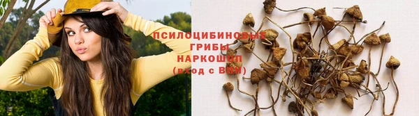 кокаин премиум Богородицк