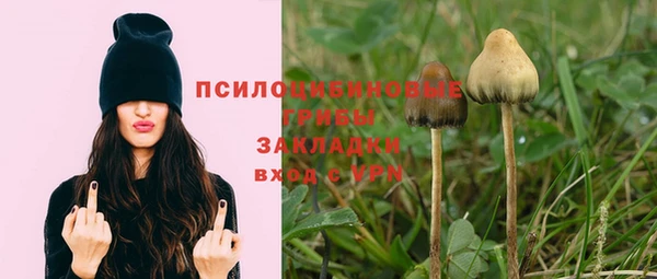 бошки Богданович