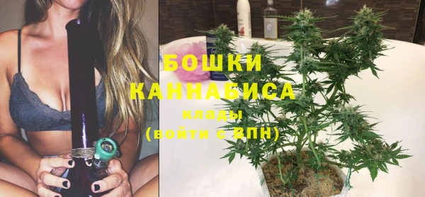 бошки Богданович