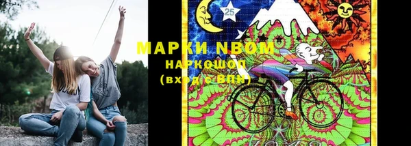 бошки Богданович