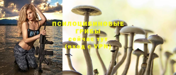 бошки Богданович