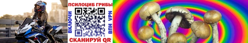 купить наркоту  Сочи  Галлюциногенные грибы Cubensis 